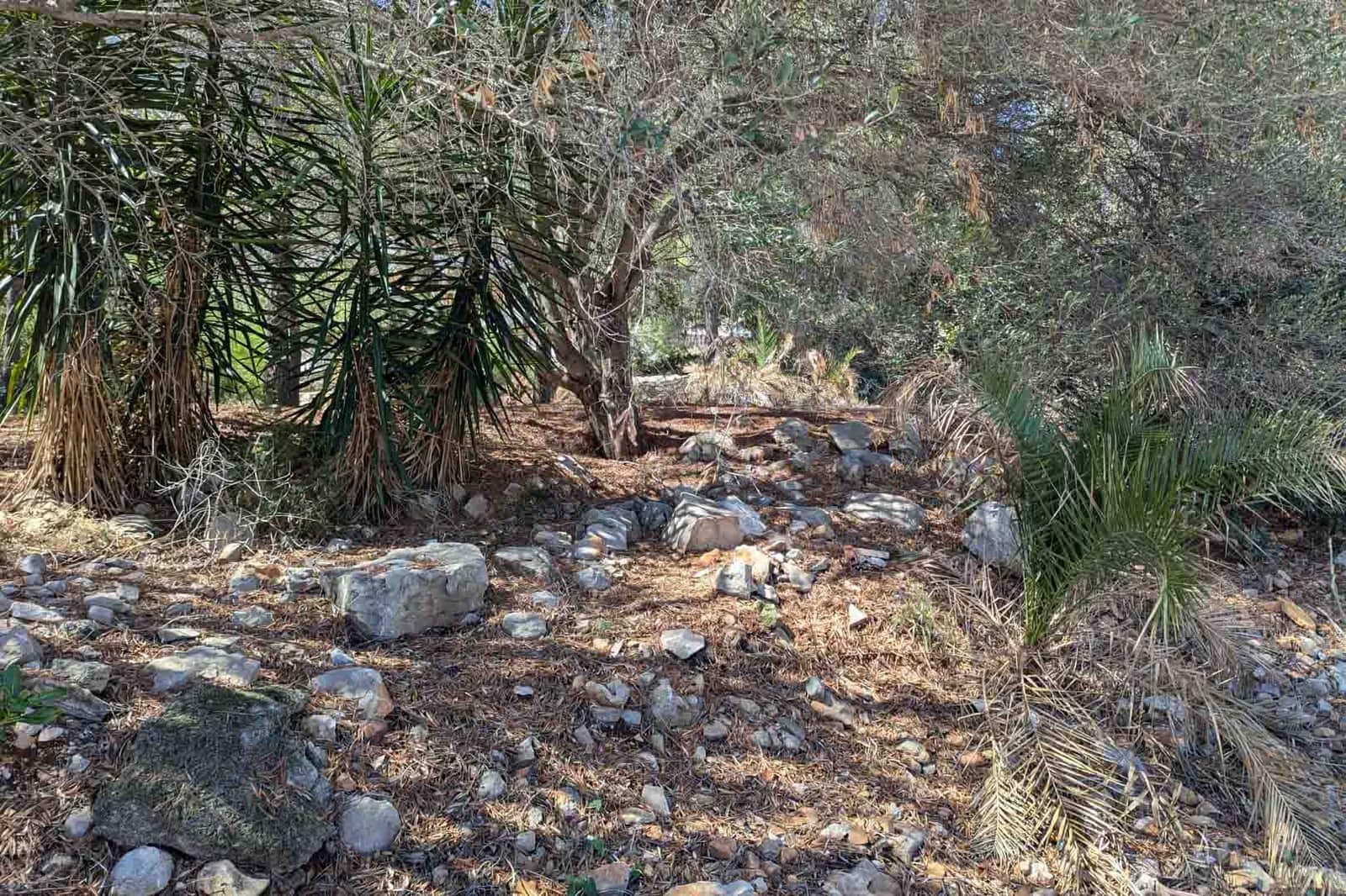 Building Plot for sale in Denia - € 305,000 (Ref: 9484786)