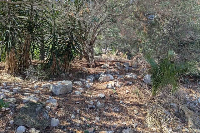 Building Plot for sale in Centro Urbano, Dénia - € 305,000 (Ref: 9484786)