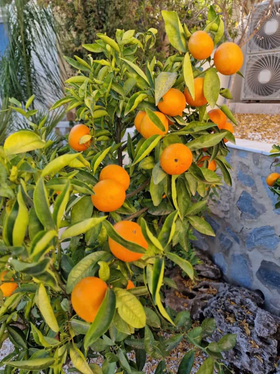 5 bedroom Villa for sale in Benitachell / Benitatxell with garage - € 715,000 (Ref: 9484790)