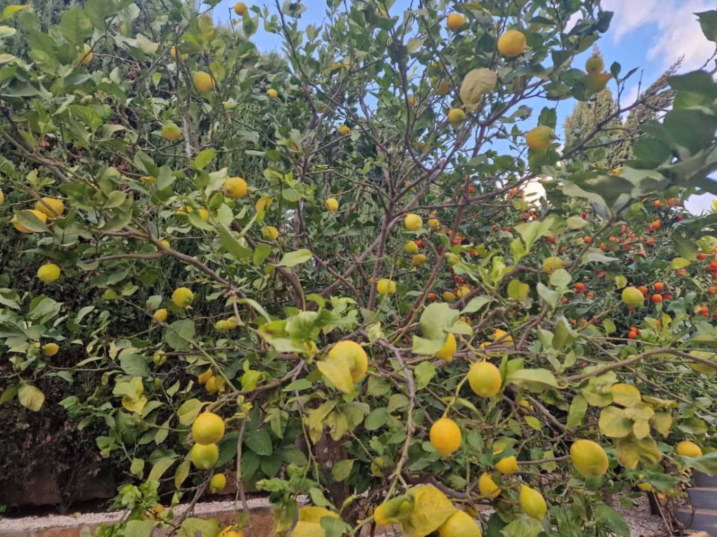 5 bedroom Villa for sale in Benitachell / Benitatxell with garage - € 715,000 (Ref: 9484790)