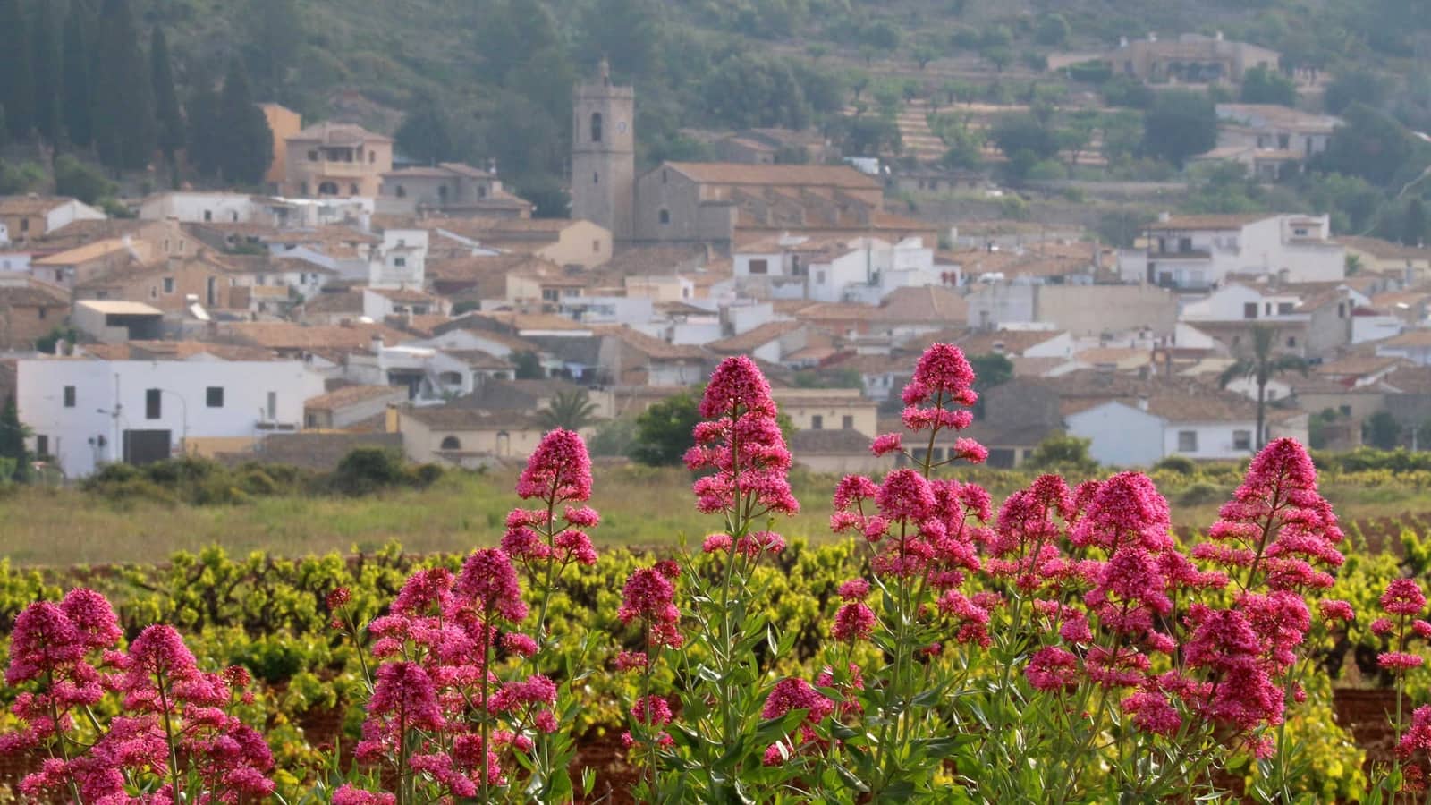 3 bedroom Villa for sale in Lliber - € 930,000 (Ref: 9484820)