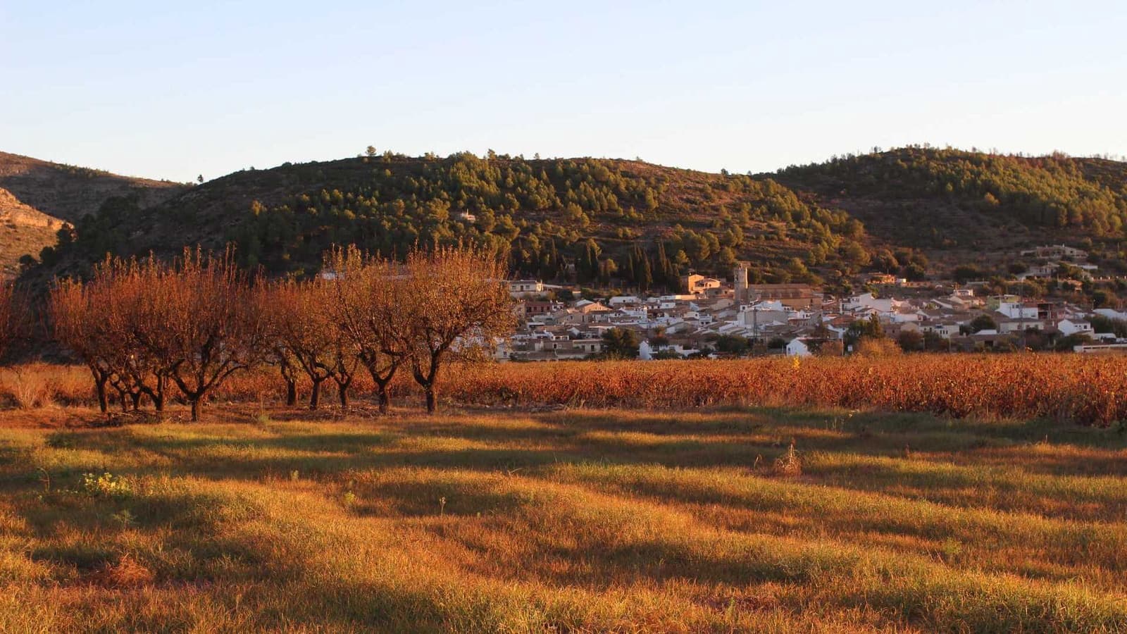 3 bedroom Villa for sale in Lliber - € 930,000 (Ref: 9484820)