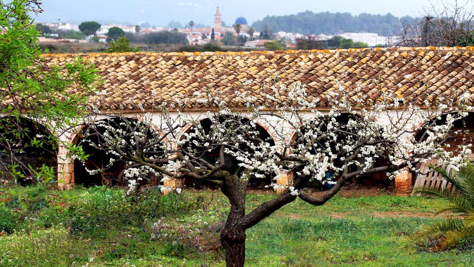 3 bedroom Villa for sale in Lliber - € 930,000 (Ref: 9484820)