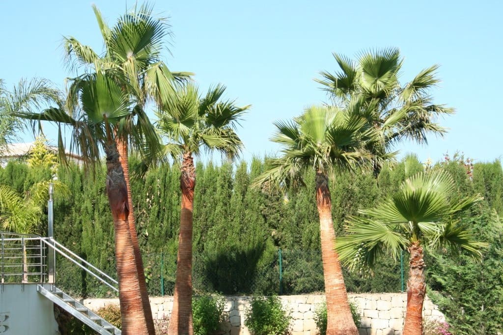 5 bedroom Villa for sale in Adsubia with garage - € 1,215,000 (Ref: 9484858)