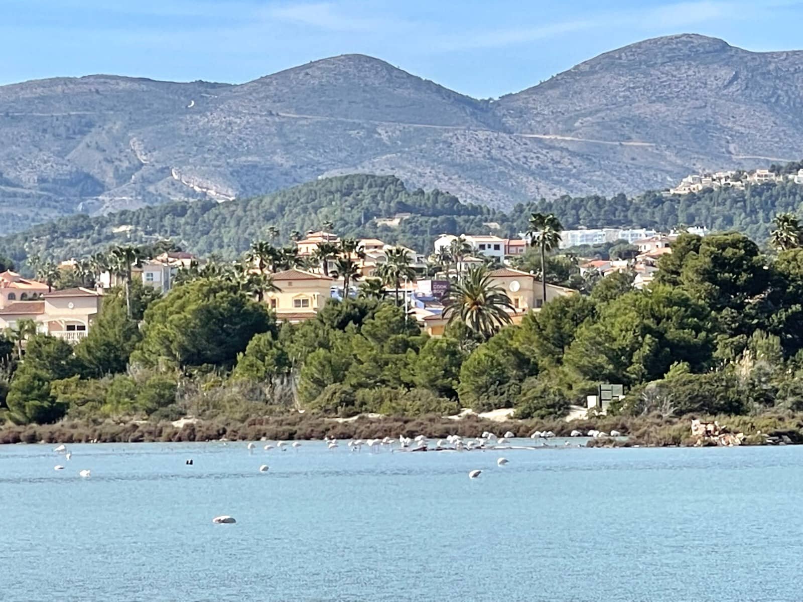 2 bedroom Apartment for rent in Calpe / Calp - € 1,100 (Ref: 9484887)