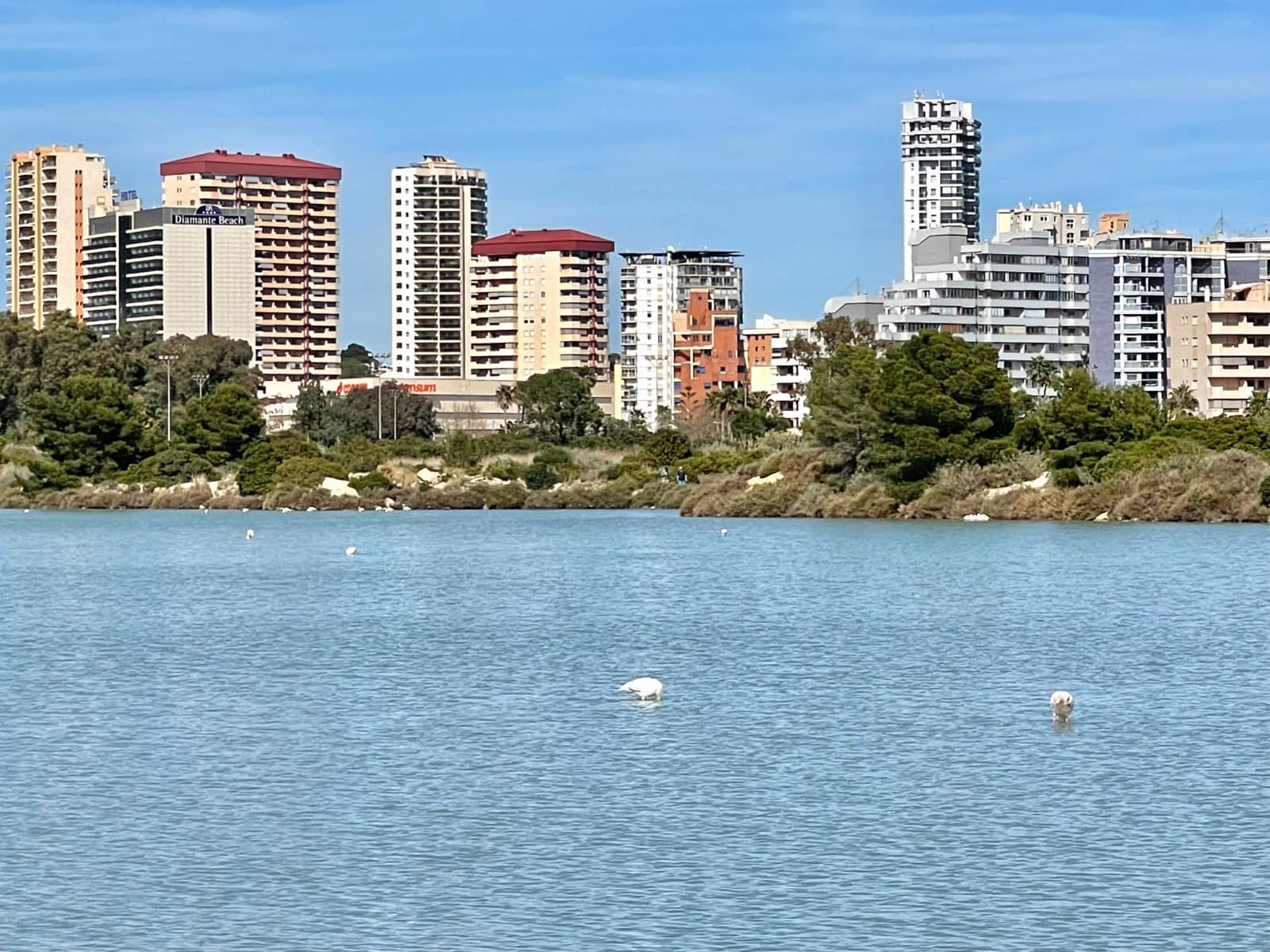 2 bedroom Apartment for rent in Calpe / Calp - € 1,100 (Ref: 9484887)