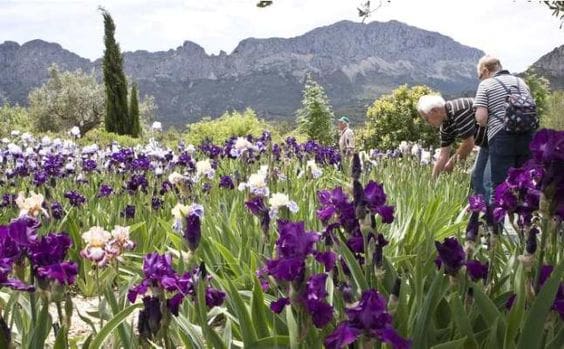 4 bedroom Villa for sale in Moraira with garage - € 1,690,000 (Ref: 9484933)