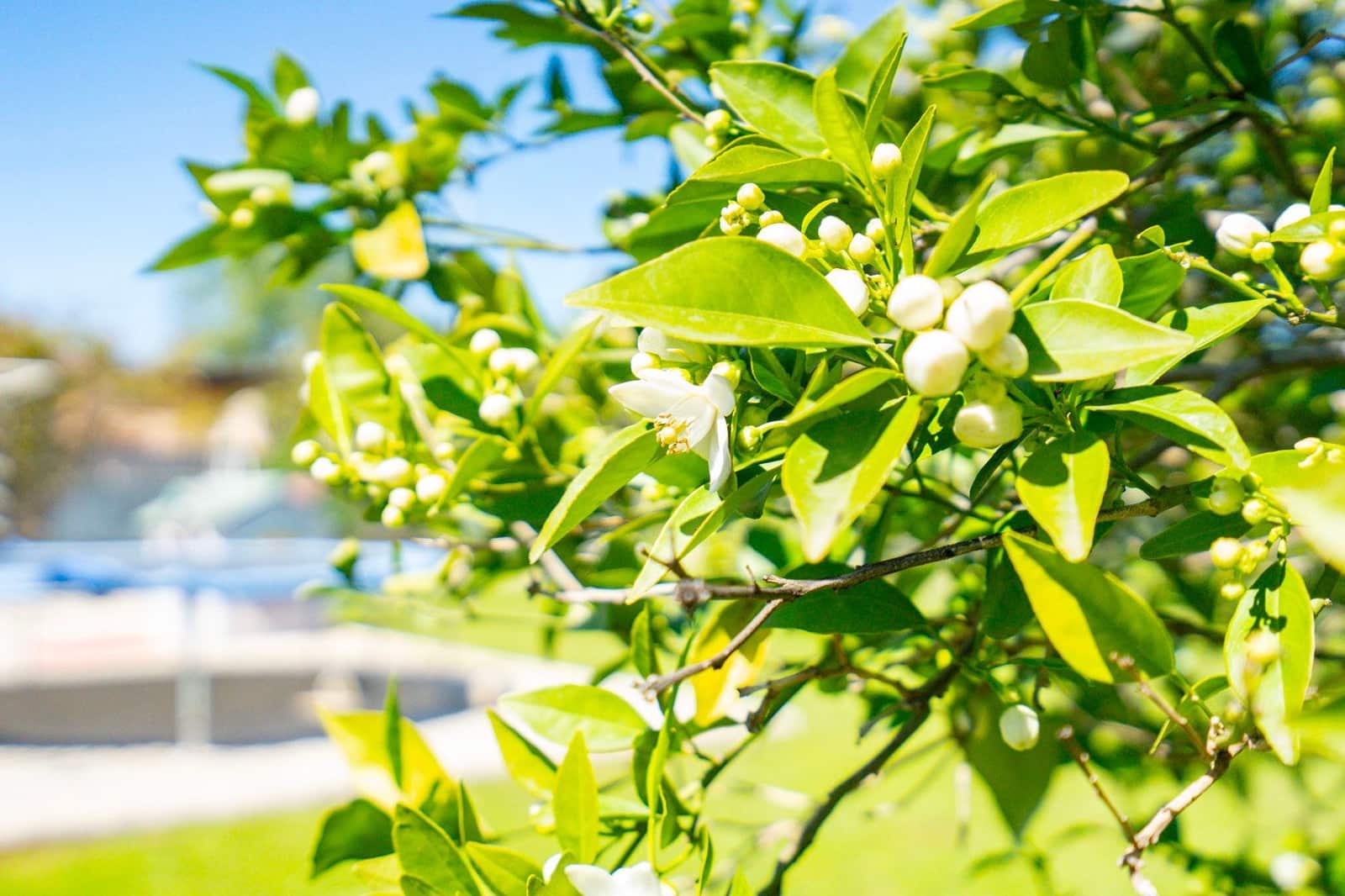 Chalet de 6 habitaciones en Dénia en venta con garaje - 695.000 € (Ref: 9516359)