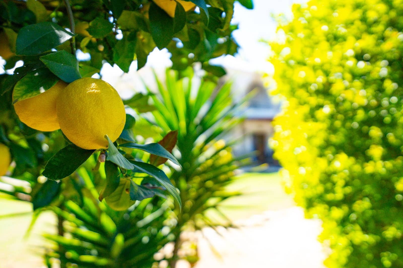 Chalet de 6 habitaciones en Dénia en venta con garaje - 695.000 € (Ref: 9516359)