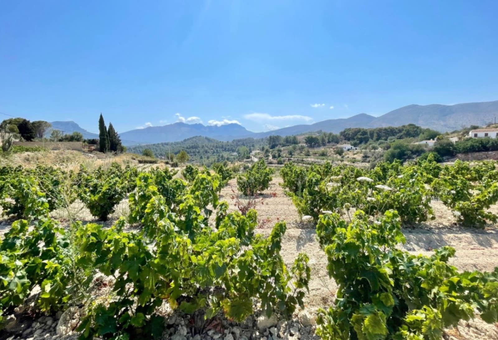 4 soveværelse Villa til salg i Benissa - € 1.280.000 (Ref: 9529005)