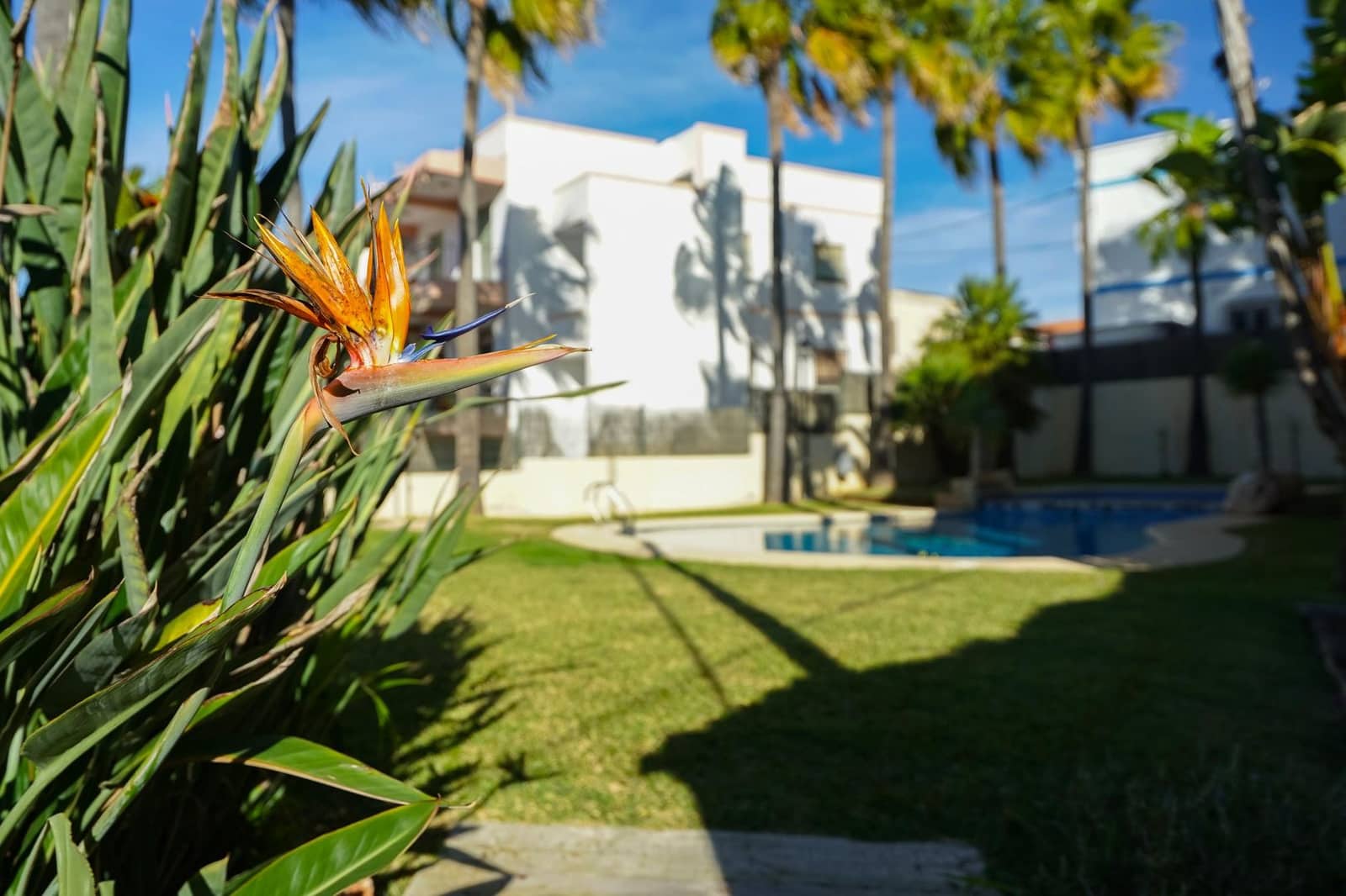 3 sypialnia Apartament przy plaży na sprzedaż w Javea / Xabia - 449 000 € (Ref: 9665400)