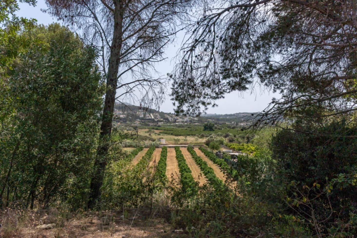 4 bedroom Villa for sale in Adsubia with garage - € 849,000 (Ref: 9726917)