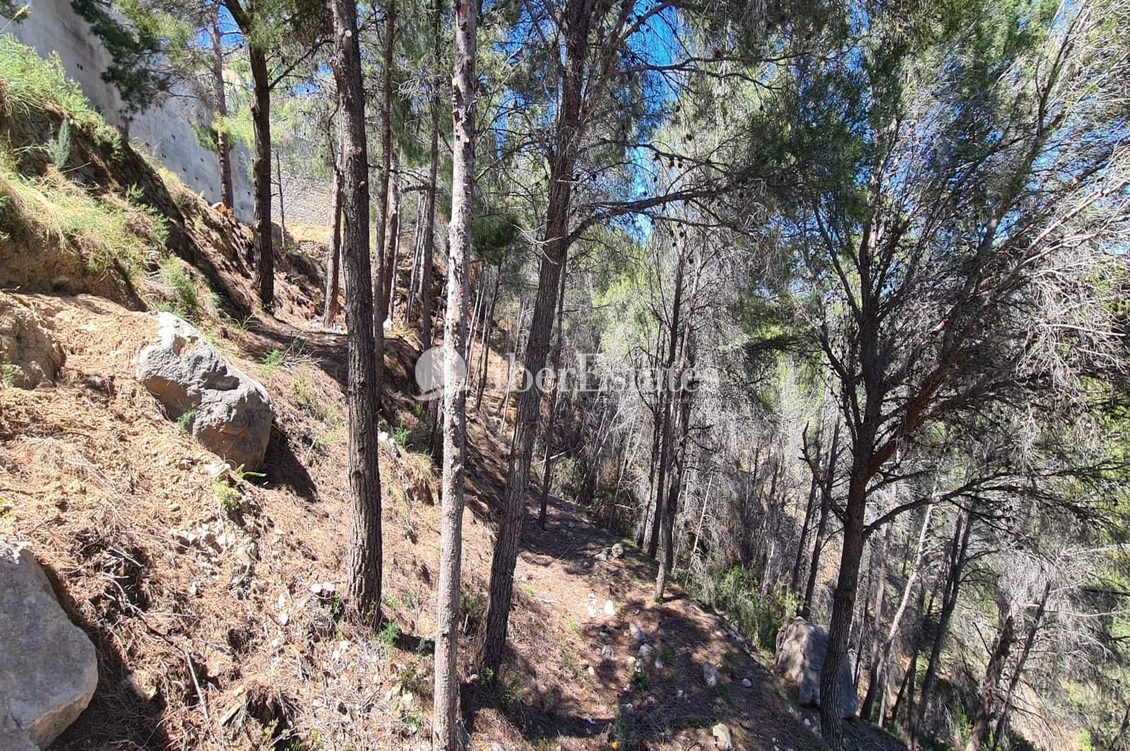 Byggegrund til salg i Calpe / Calp - € 1.500.000 (Ref: 6889815)