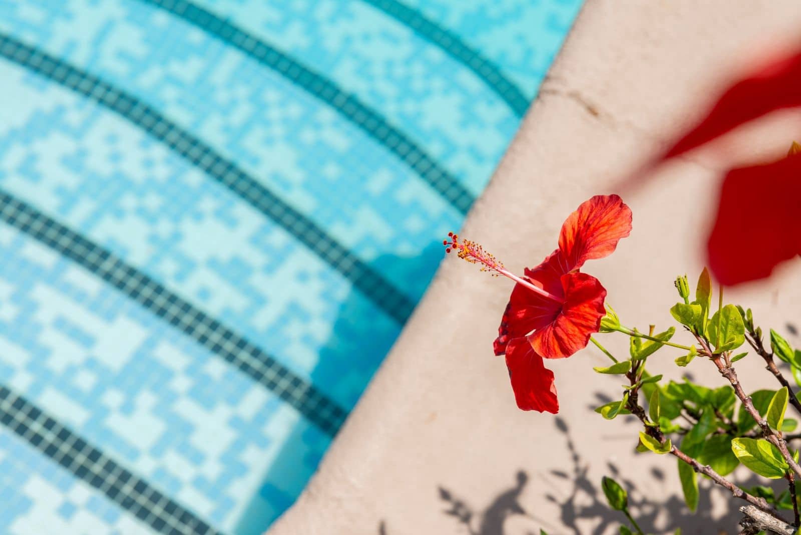 4 bedroom Villa for sale in Moraira with pool garage - € 1,360,000 (Ref: 9107026)