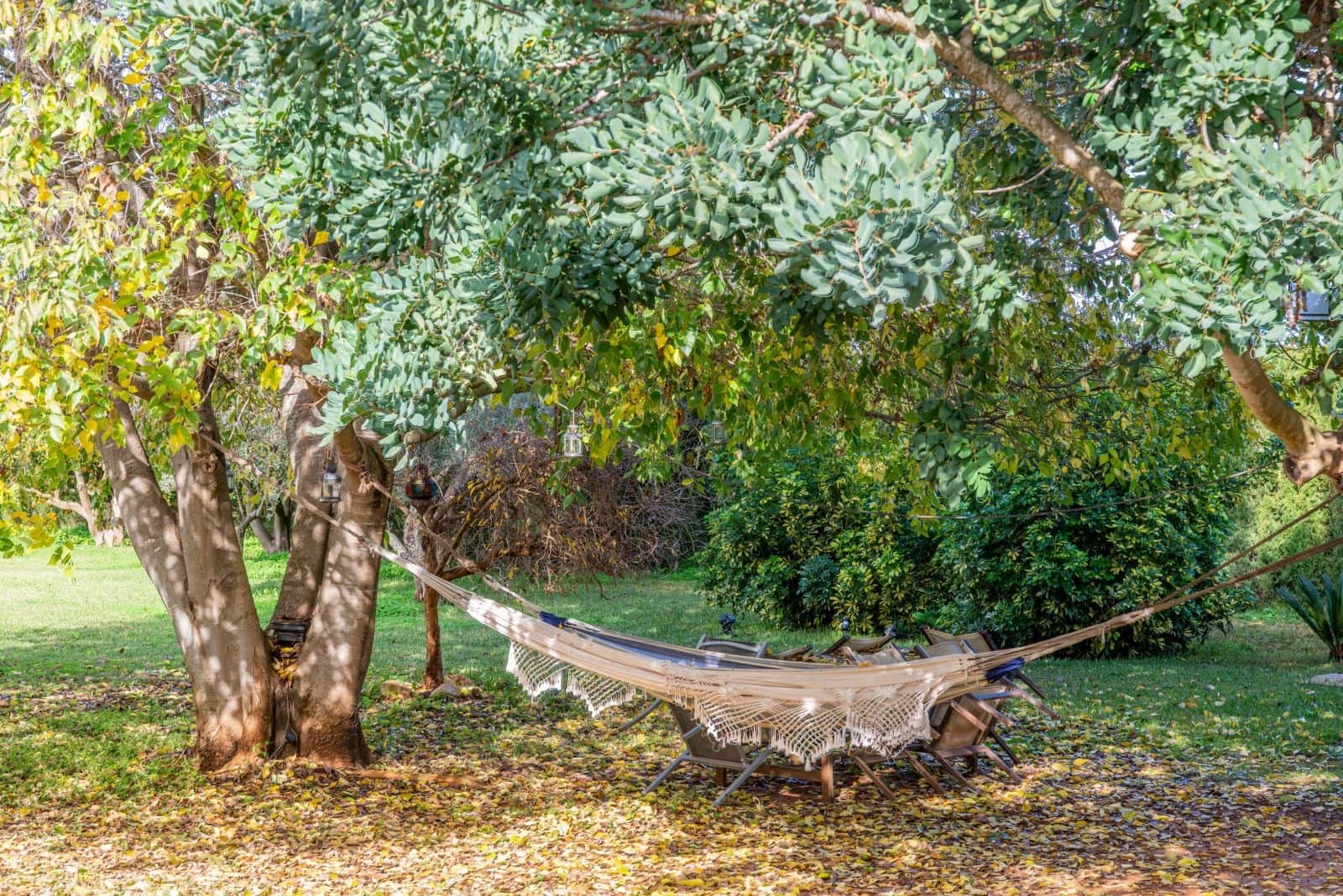 Chalet de 3 habitaciones en Ondara en venta con piscina garaje - 1.400.000 € (Ref: 9492703)