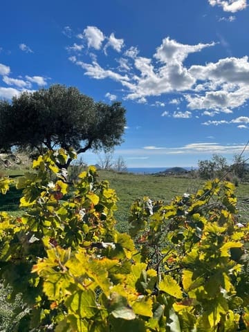 3 bedroom Finca/Country House for sale in Benissa - € 750,000 (Ref: 9534496)