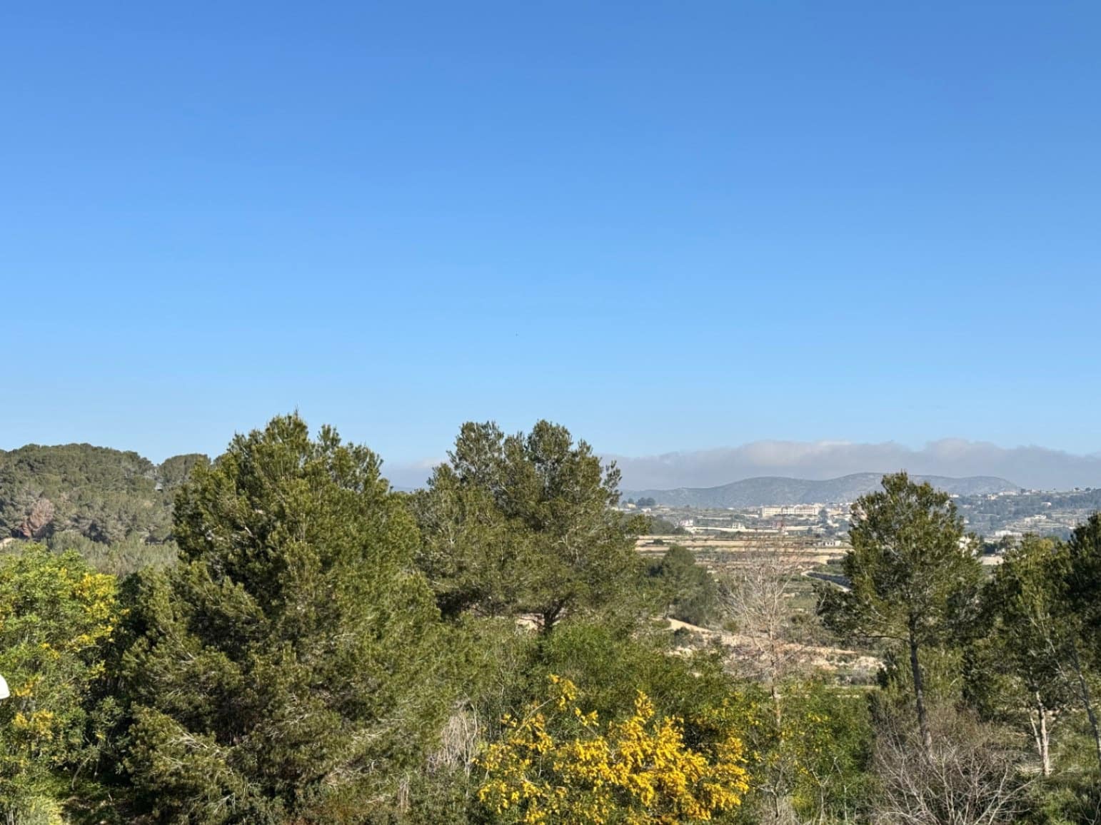 5 soveværelse Villa til salg i Teulada med swimmingpool - € 1.790.000 (Ref: 9534509)