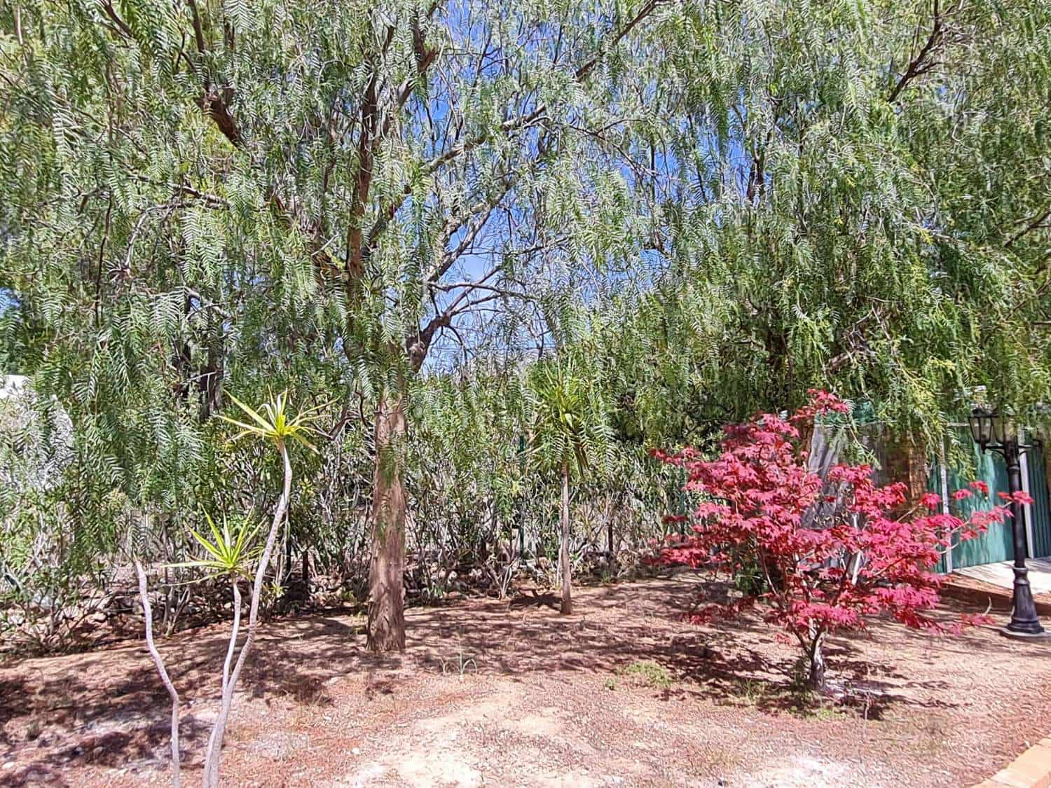 3 bedroom Villa for sale in Pratdip - € 329,000 (Ref: 7839624)