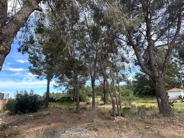 Building Plot for sale in Mont-roig del Camp - € 80,000 (Ref: 8268840)