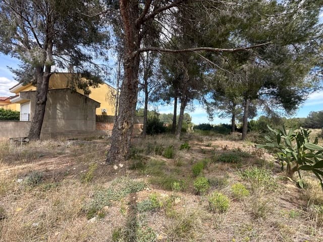 Building Plot for sale in Mont-roig del Camp - € 80,000 (Ref: 8268840)