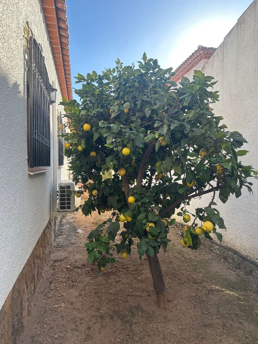 3 soverom Villa til salgs i Mont-roig del Camp med svømmebasseng garasje - € 310 000 (Ref: 8970238)