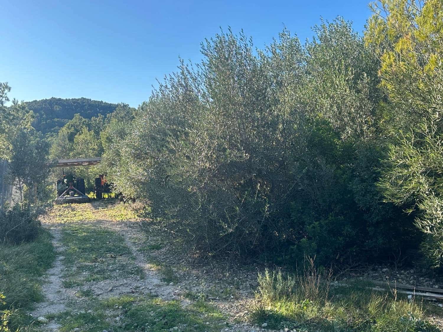 3 sovrum Finca/Hus på landet till salu i L'Ametlla de Mar med pool - 950 000 € (Ref: 9387617)