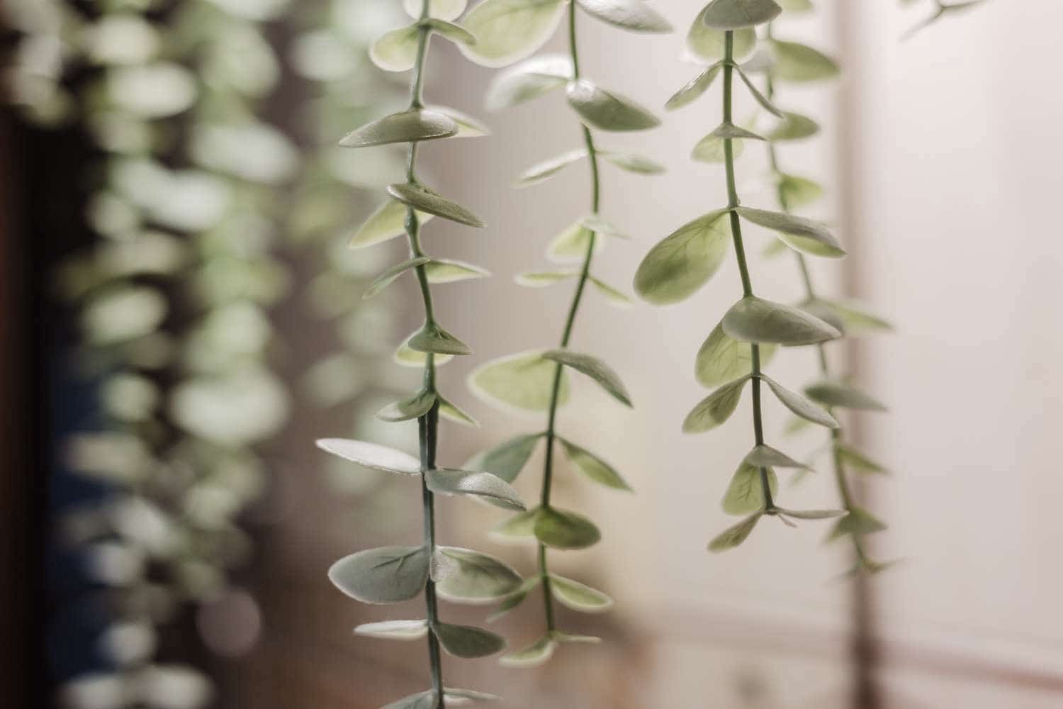 3 soverom Rekkehus til salgs i Mont-roig del Camp med svømmebasseng - € 265 000 (Ref: 9448987)