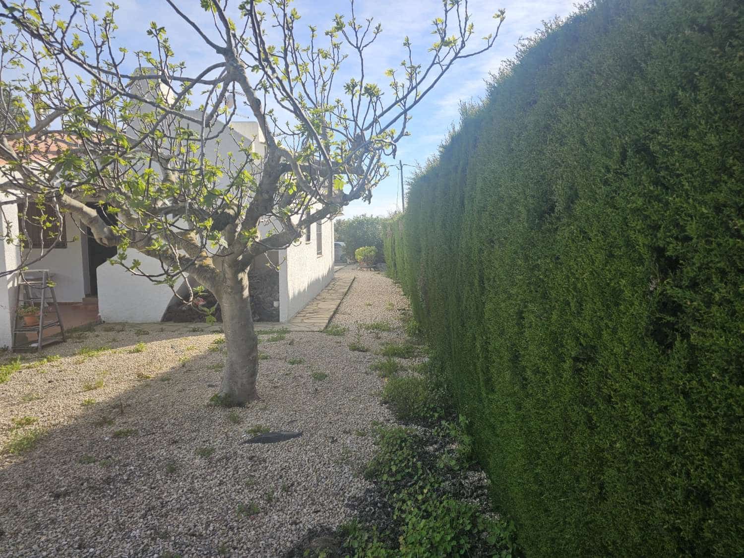 3 chambre Maison de Ville à vendre à L'Ametlla de Mar avec piscine garage - 395 000 € (Ref: 9731725)