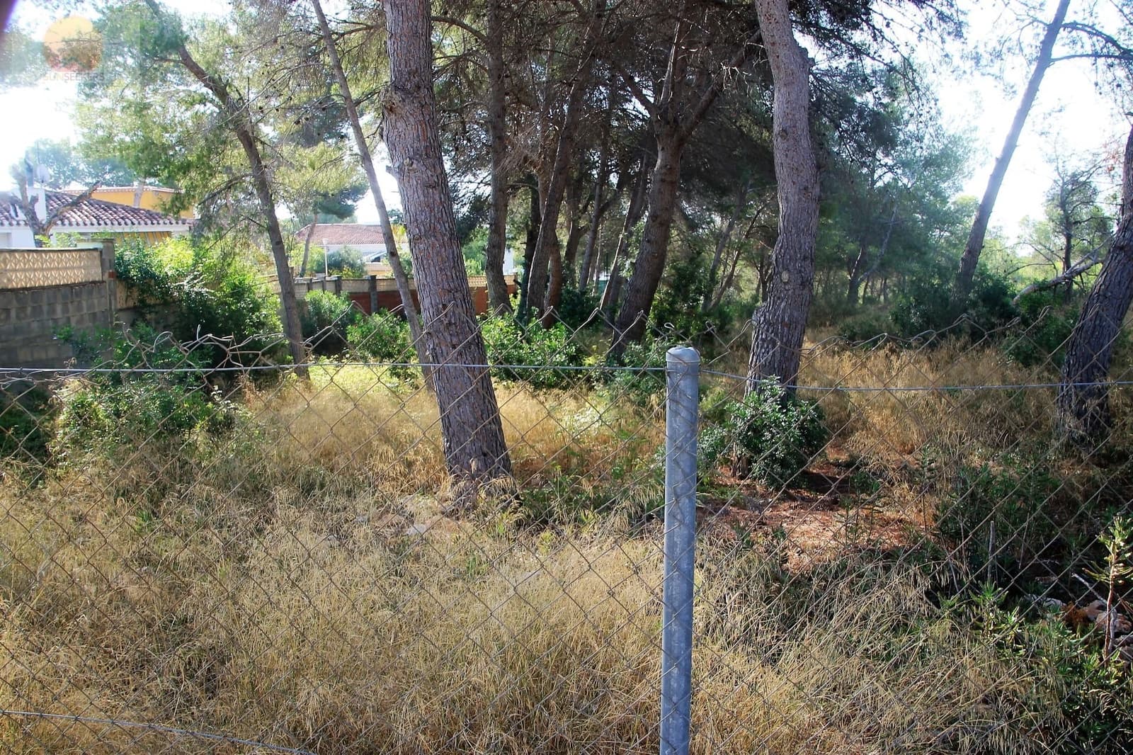 Działka budowlana na sprzedaż w Pinar de Campoverde - 1 100 000 € (Ref: 6629031)