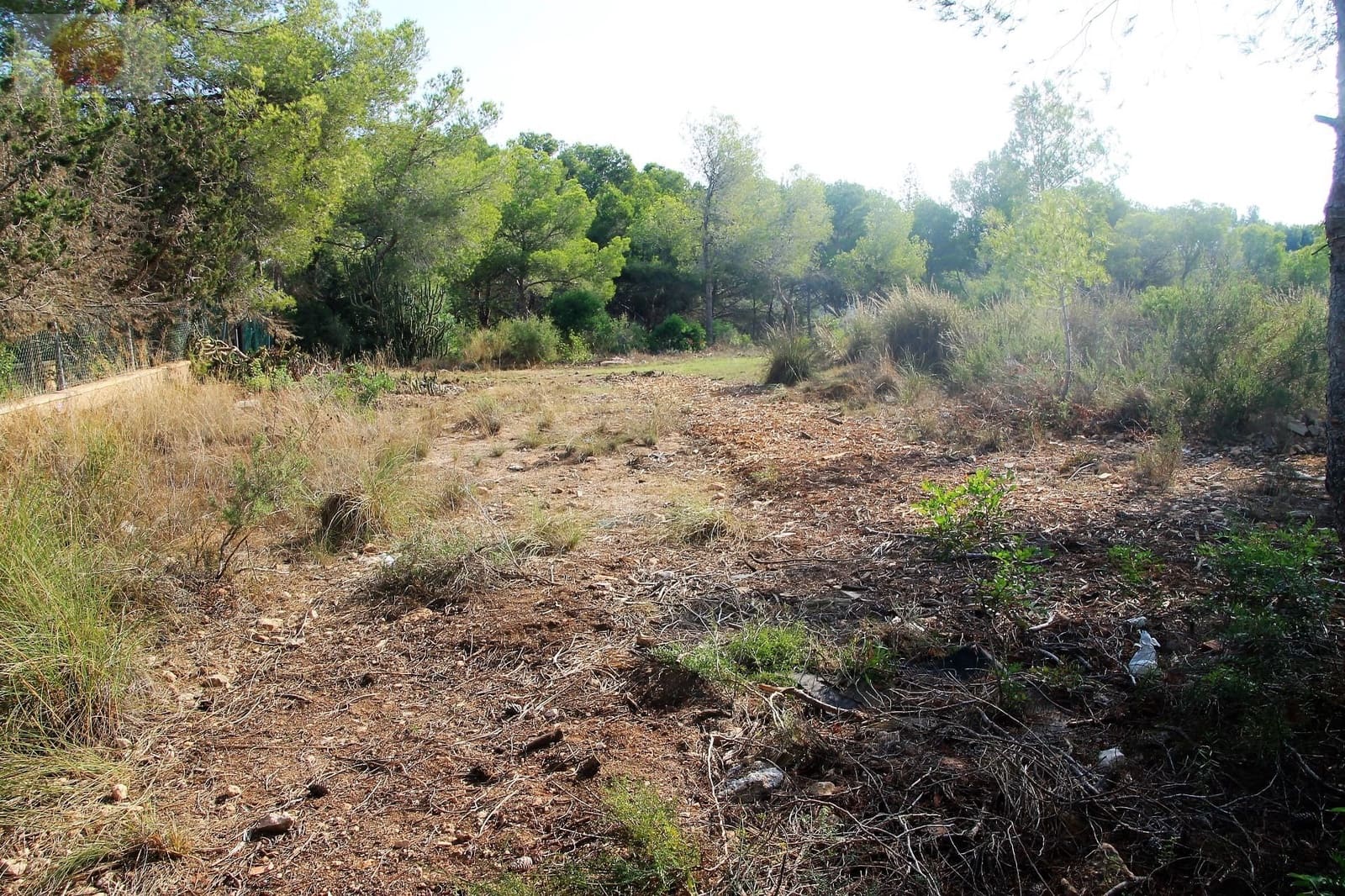 Działka budowlana na sprzedaż w Pinar de Campoverde - 1 100 000 € (Ref: 6629031)