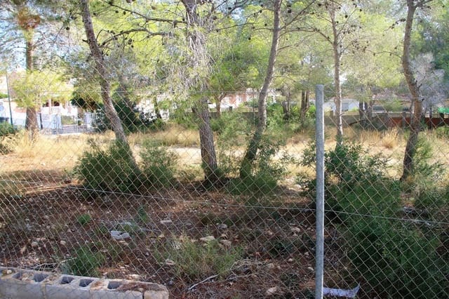 Tomt till salu i Pinar de Campoverde, Pilar de la Horadada - 1 100 000 € (Ref: 6629031)