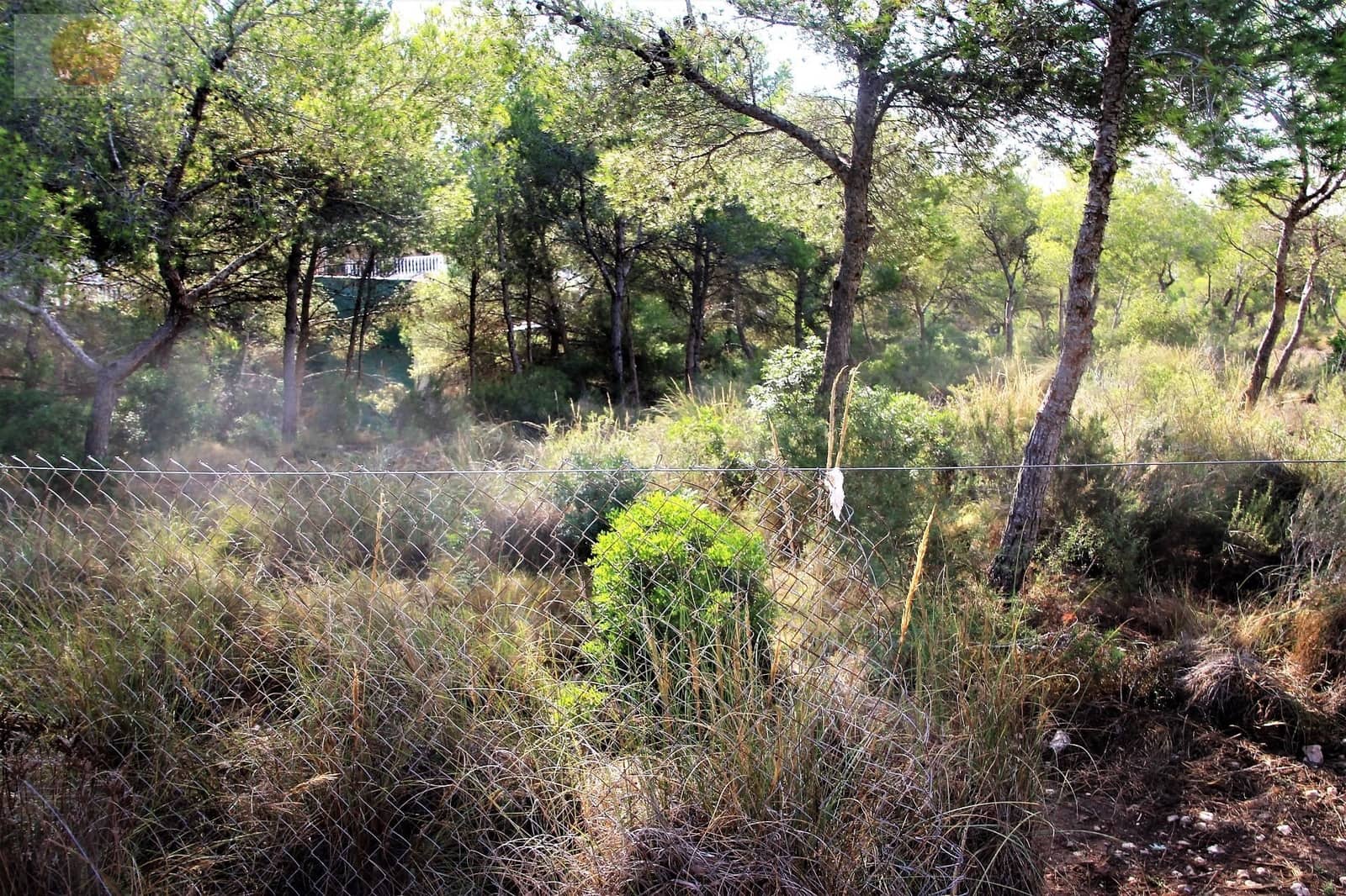 Działka budowlana na sprzedaż w Pinar de Campoverde - 1 100 000 € (Ref: 6629031)