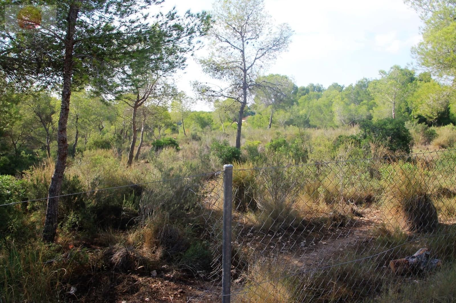 Działka budowlana na sprzedaż w Pinar de Campoverde - 1 100 000 € (Ref: 6629031)