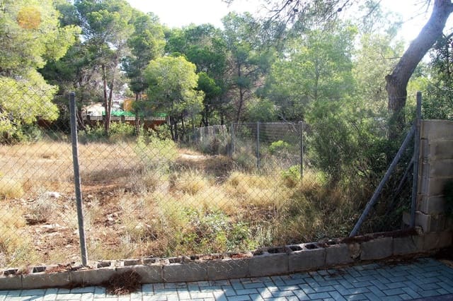 Tomt till salu i Pinar de Campoverde, Pilar de la Horadada - 1 100 000 € (Ref: 6629031)