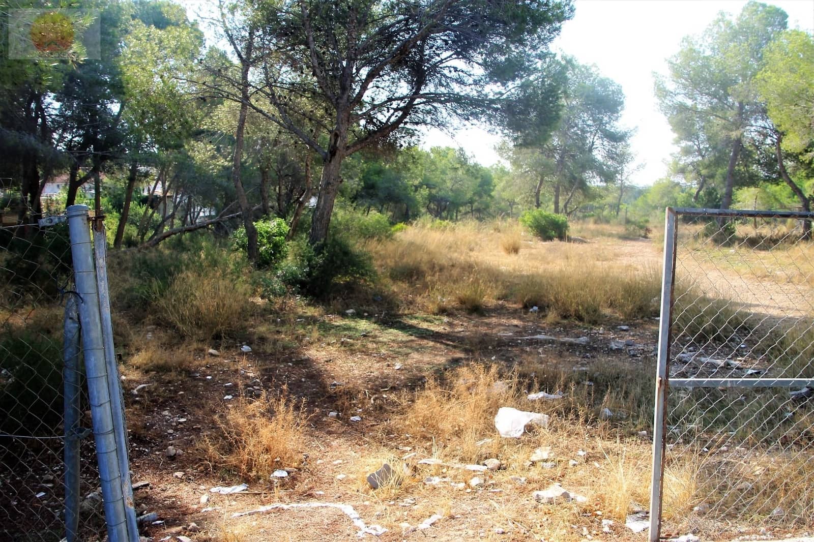 Działka budowlana na sprzedaż w Pinar de Campoverde - 1 100 000 € (Ref: 6629031)