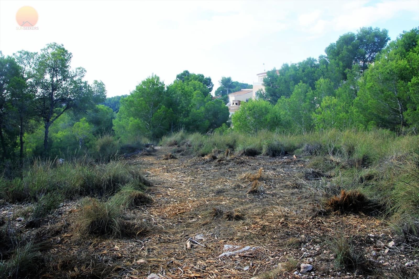 Działka budowlana na sprzedaż w Pinar de Campoverde - 1 100 000 € (Ref: 6629031)