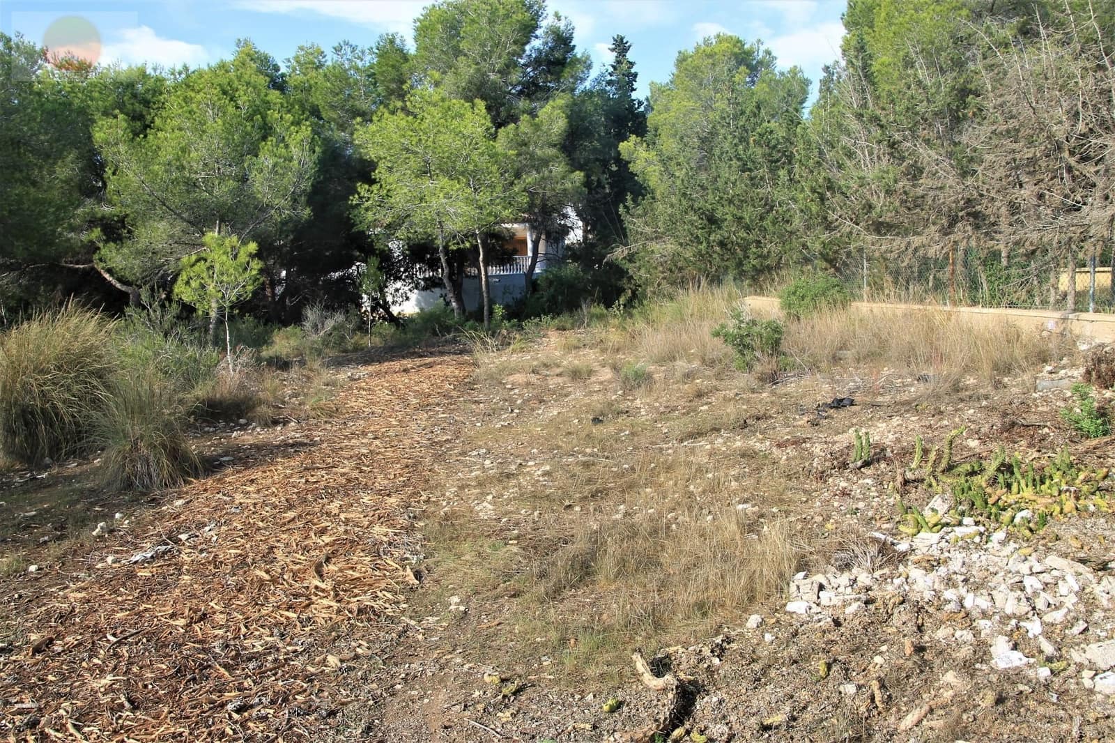 Działka budowlana na sprzedaż w Pinar de Campoverde - 1 100 000 € (Ref: 6629031)