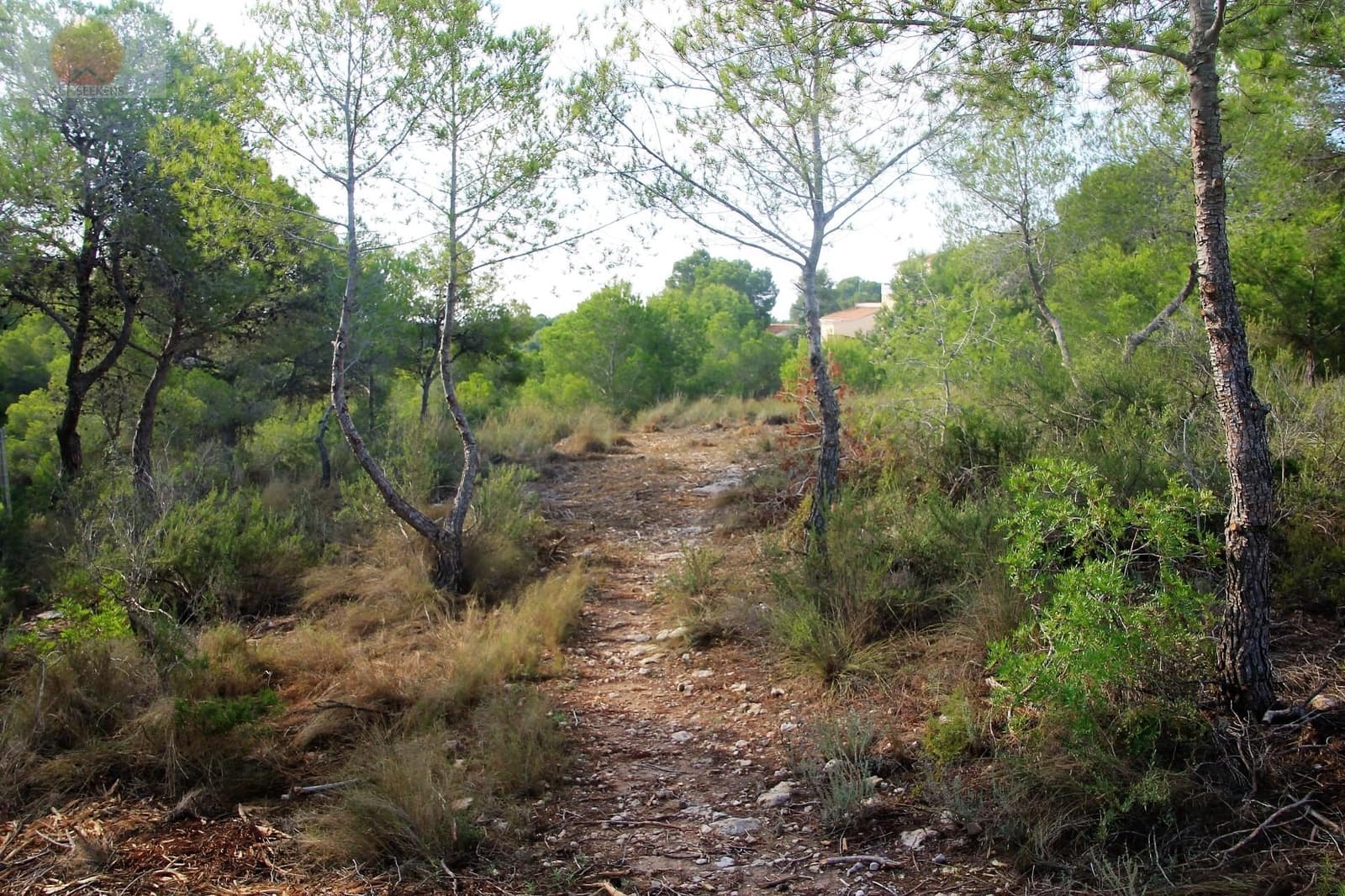 Działka budowlana na sprzedaż w Pinar de Campoverde - 1 100 000 € (Ref: 6629031)