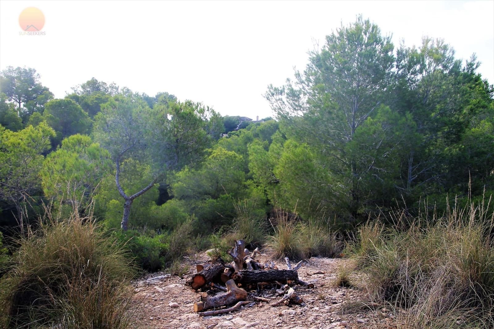 Działka budowlana na sprzedaż w Pinar de Campoverde - 1 100 000 € (Ref: 6629031)