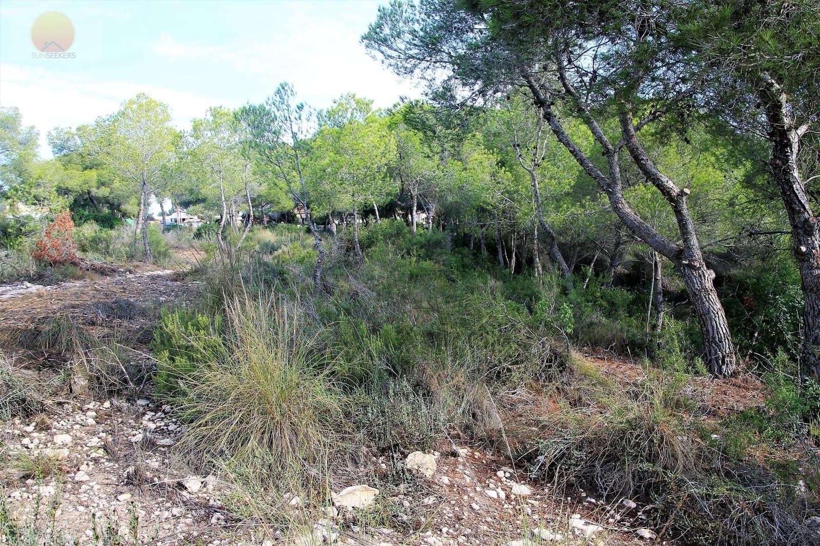 Działka budowlana na sprzedaż w Pinar de Campoverde - 1 100 000 € (Ref: 6629031)