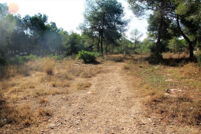 Tomt till salu i Pinar de Campoverde, Pilar de la Horadada - 1 100 000 € (Ref: 6629031)