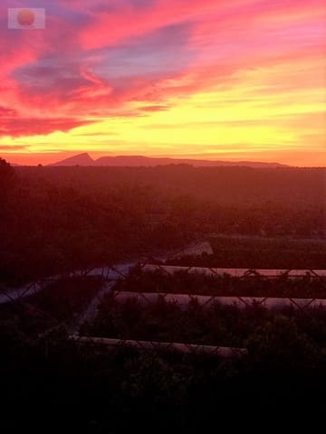 Kaupallinen vuokrattavana paikassa Pinar de Campoverde, Pilar de la Horadada - 1 000 € (Ref: 6955609)