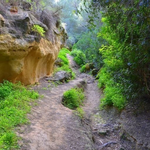 3 bedroom Villa for sale in Pinar de Campoverde with pool garage - € 385,000 (Ref: 7593238)