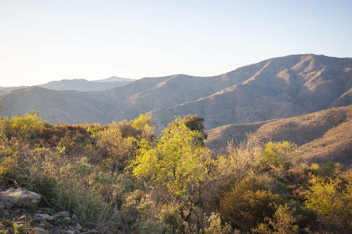 Finca/Landehus til salg i Moclinejo - € 99.000 (Ref: 8145872)