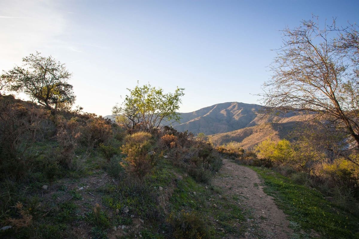 Finca/Country House for sale in Moclinejo - € 99,000 (Ref: 8145872)