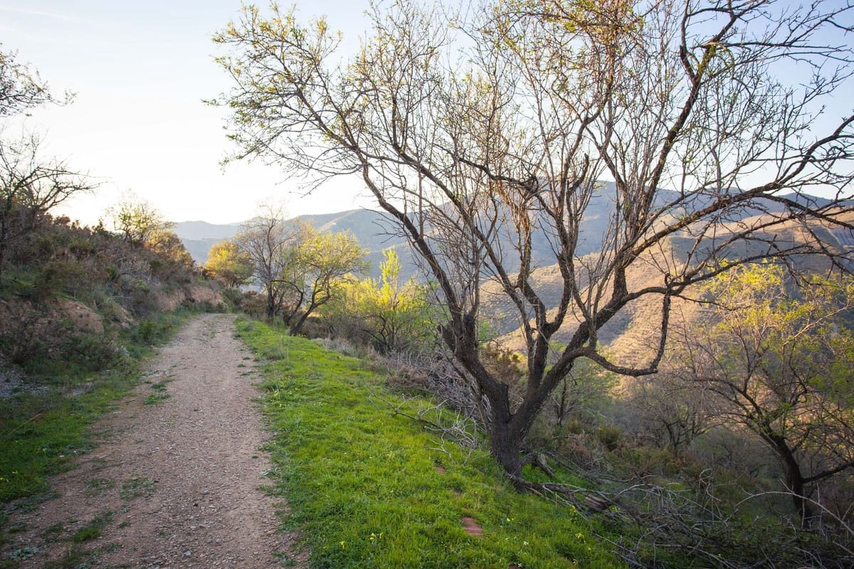 Finca/Country House for sale in Moclinejo - € 99,000 (Ref: 8145872)