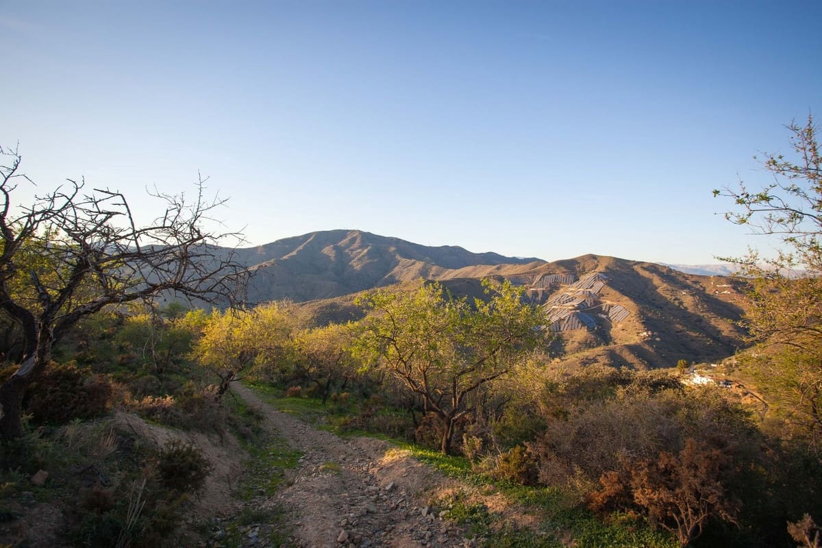 Finca/Casa Rural en Moclinejo en venta - 99.000 € (Ref: 8145872)