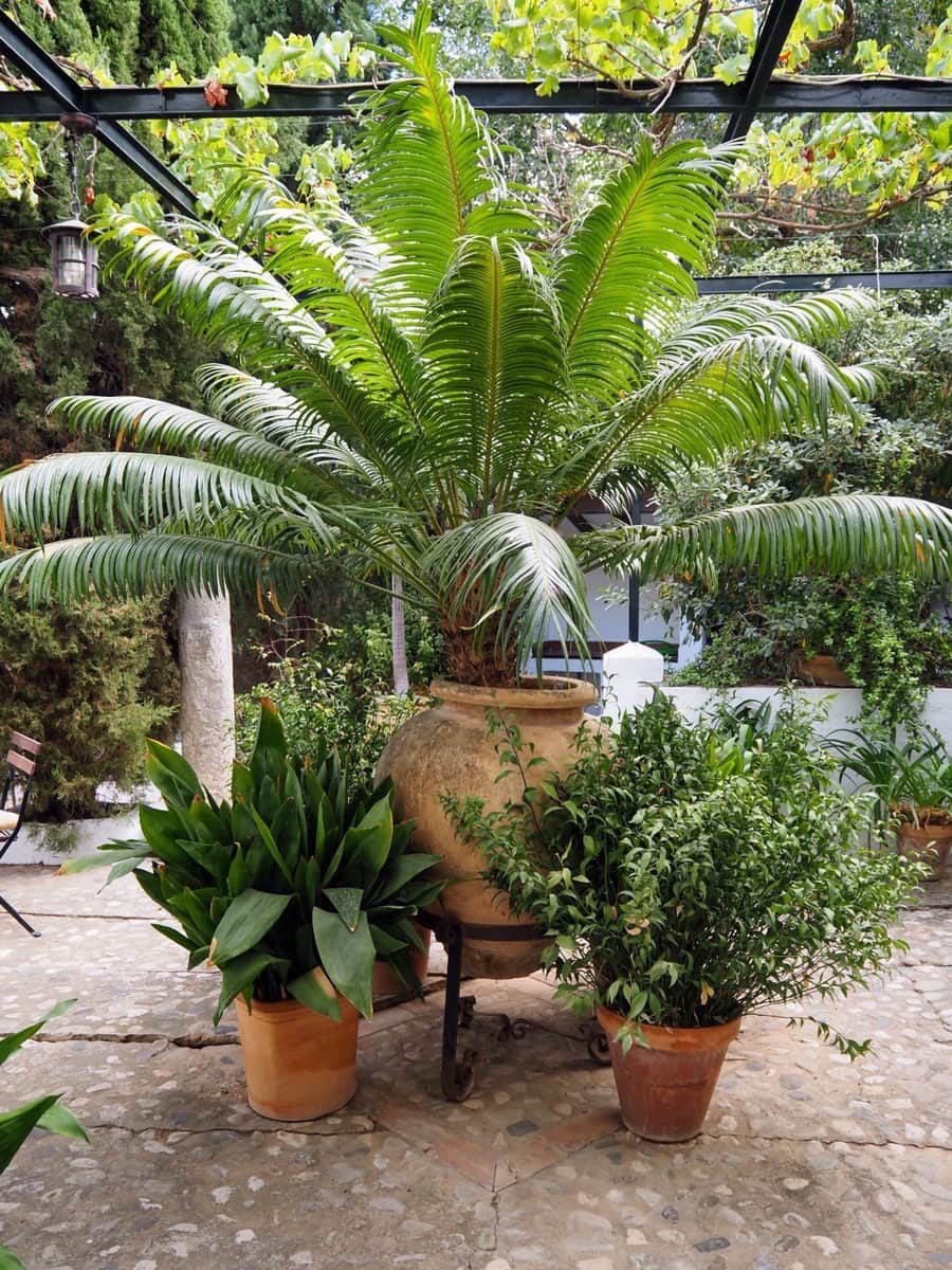 3 sypialnia Finka/Dom wiejski na sprzedaż w Alora - 695 000 € (Ref: 9322830)