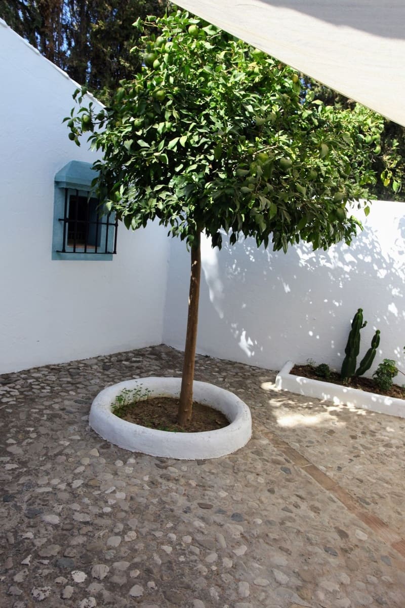 3 bedroom Finca/Country House for sale in Alora - € 695,000 (Ref: 9322830)