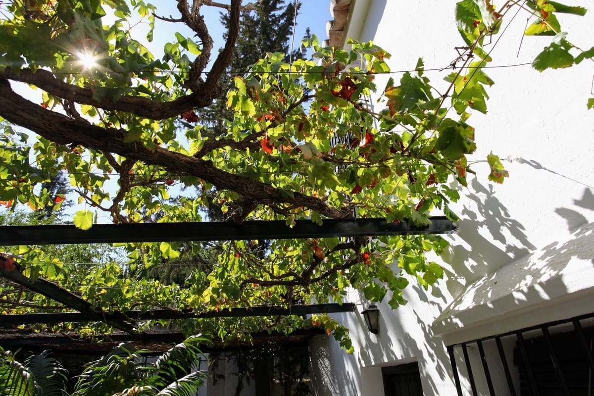 3 bedroom Finca/Country House for sale in Alora - € 695,000 (Ref: 9322830)